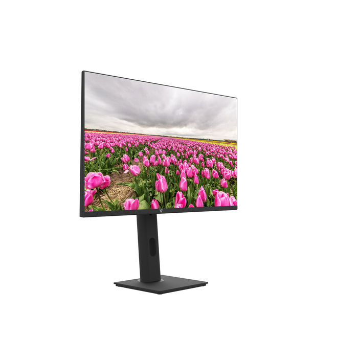 V7 Moniteur IPS 23.8 po FHD 1920 x 1080