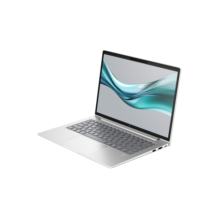 HP EliteBook 645 G11 AMD Ryzen™ 5 7535U Ordinateur portable 35,6 cm (14") WUXGA 16 Go DDR5-SDRAM 512 Go SSD Wi-Fi 6E (802.11ax) Windows 11 Pro Argent