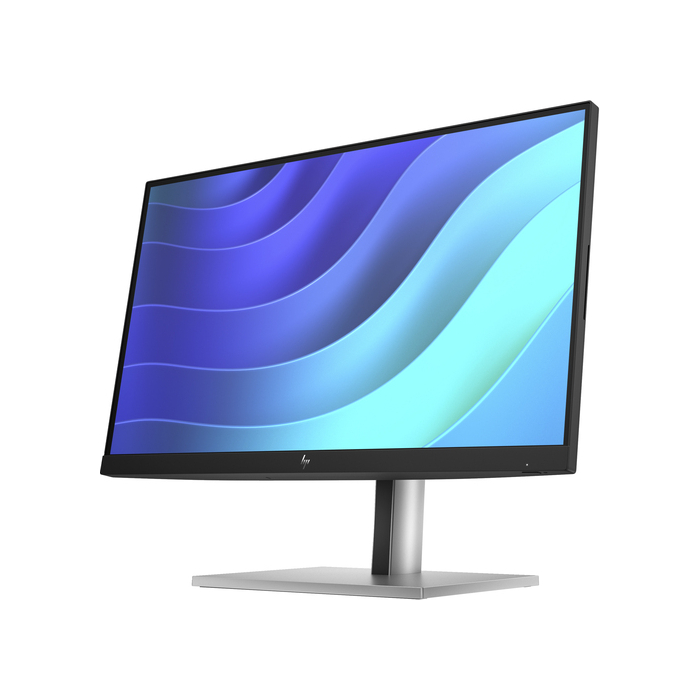 HP E-Series Écran FHD E22 G5