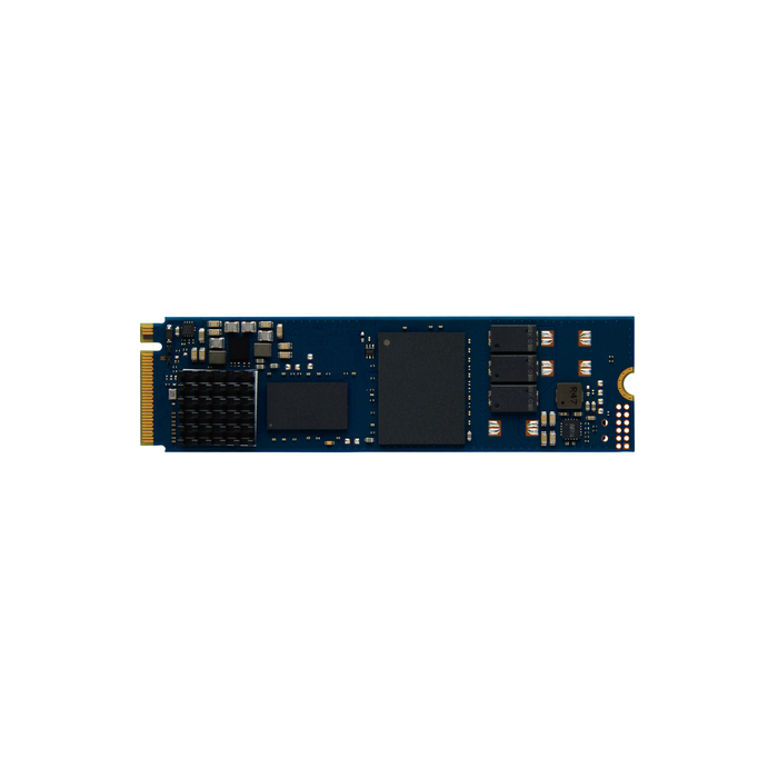 Kingston Technology 960G DC2000B PCIe 4.0 M.2 2280 Enterprise SSD