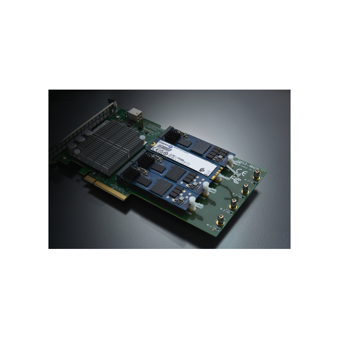 Kingston Technology 960G DC2000B PCIe 4.0 M.2 2280 Enterprise SSD