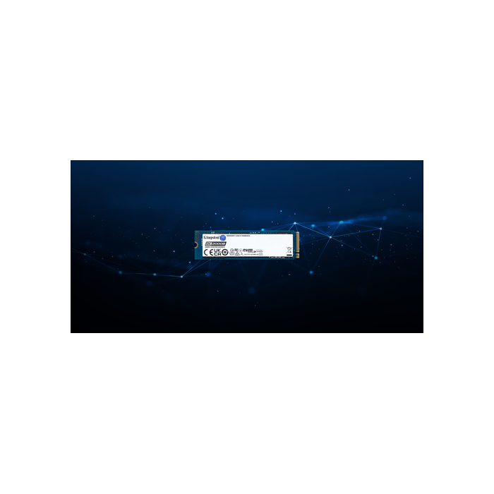 Kingston Technology 960G DC2000B PCIe 4.0 M.2 2280 Enterprise SSD