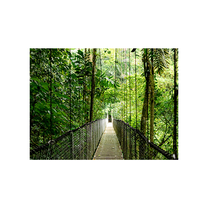 HP Elitebook 6 G1i 14 Ai 14in Core