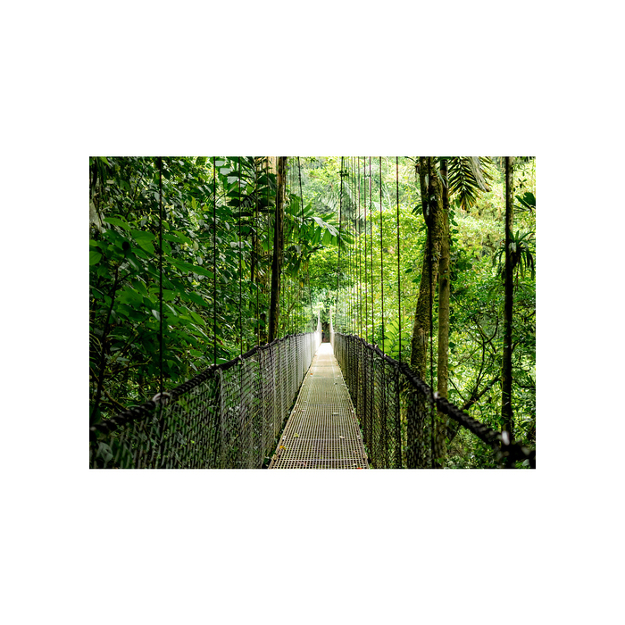 HP EliteBook 6 G1i 16 AI Intel Core Ultra 7 255U - 512GB SSD 16GB - 1920 x 1200 - Aluminium argent - W11P