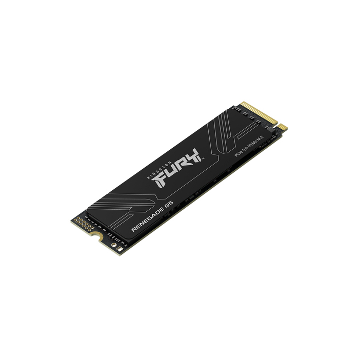 Kingston Technology 2T FURY RENEGADE G5 M.2 2280 NVMe SSD