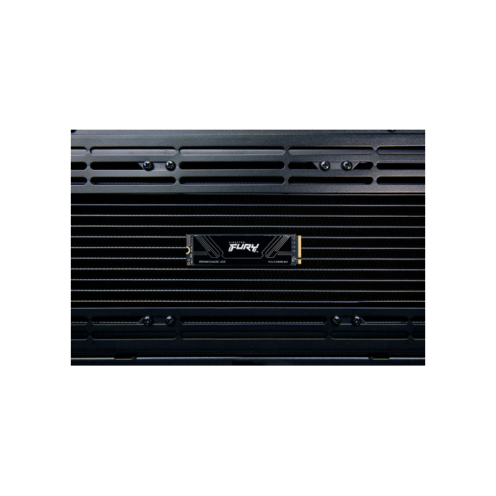 Kingston Technology 2T FURY RENEGADE G5 M.2 2280 NVMe SSD
