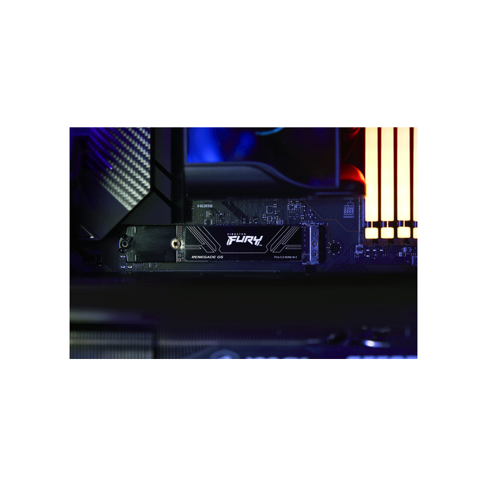 Kingston Technology 2T FURY RENEGADE G5 M.2 2280 NVMe SSD