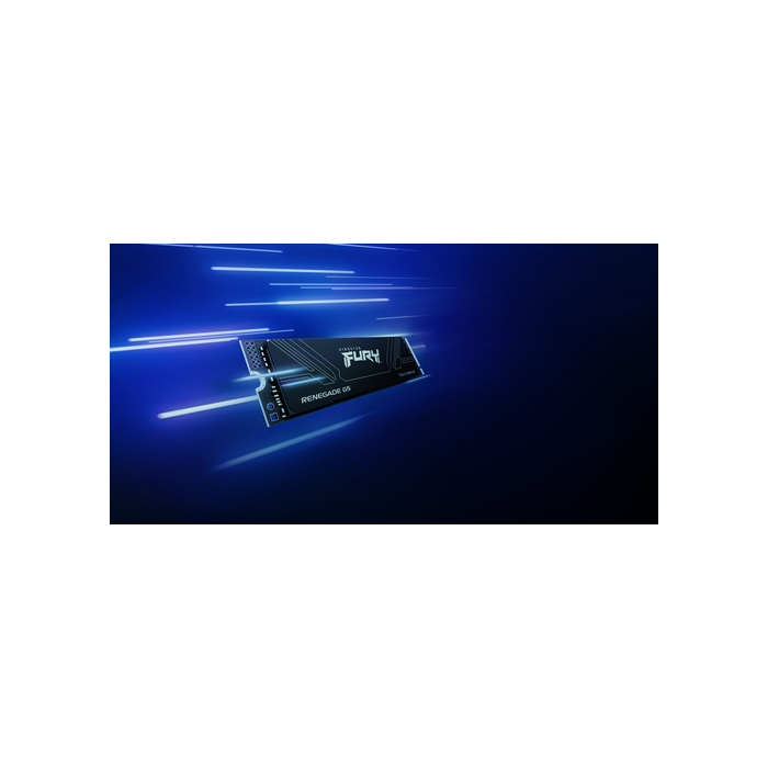 Kingston Technology 1T FURY RENEGADE G5 M.2 2280 NVMe SSD