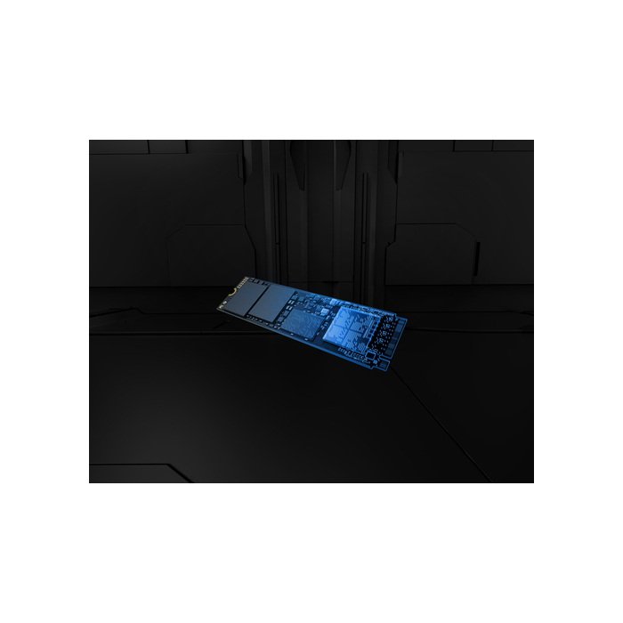 Kingston Technology 4T FURY RENEGADE G5 M.2 2280 NVMe SSD