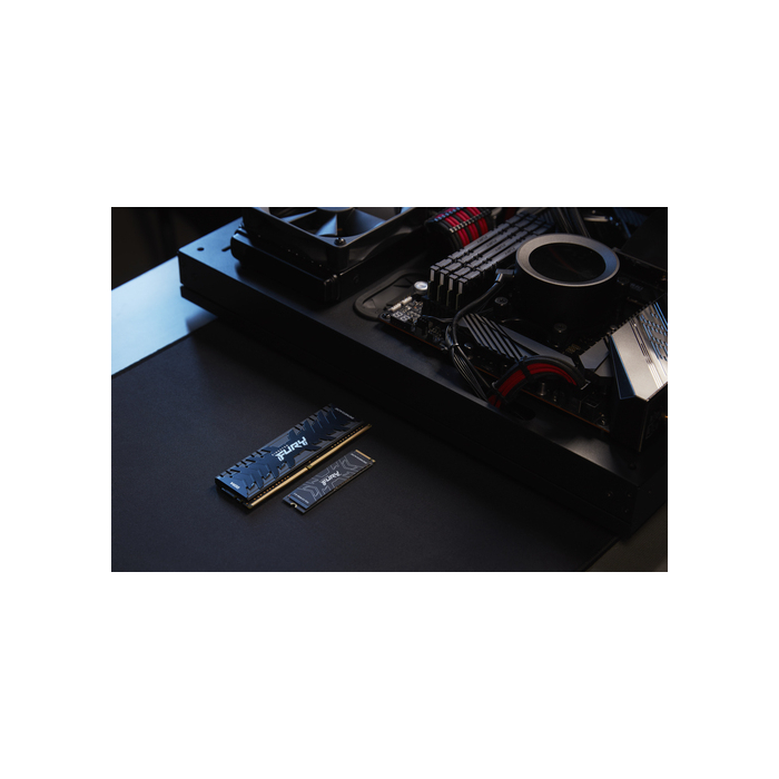 Kingston Technology 2000G FURY RENEGADE M.2 2280 NVMe SSD