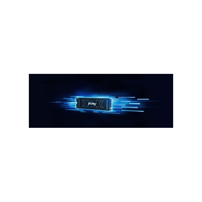 Kingston Technology 2000G FURY RENEGADE M.2 2280 NVMe SSD