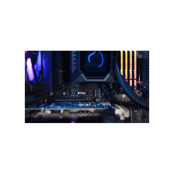 Kingston Technology 2000G FURY RENEGADE M.2 2280 NVMe SSD