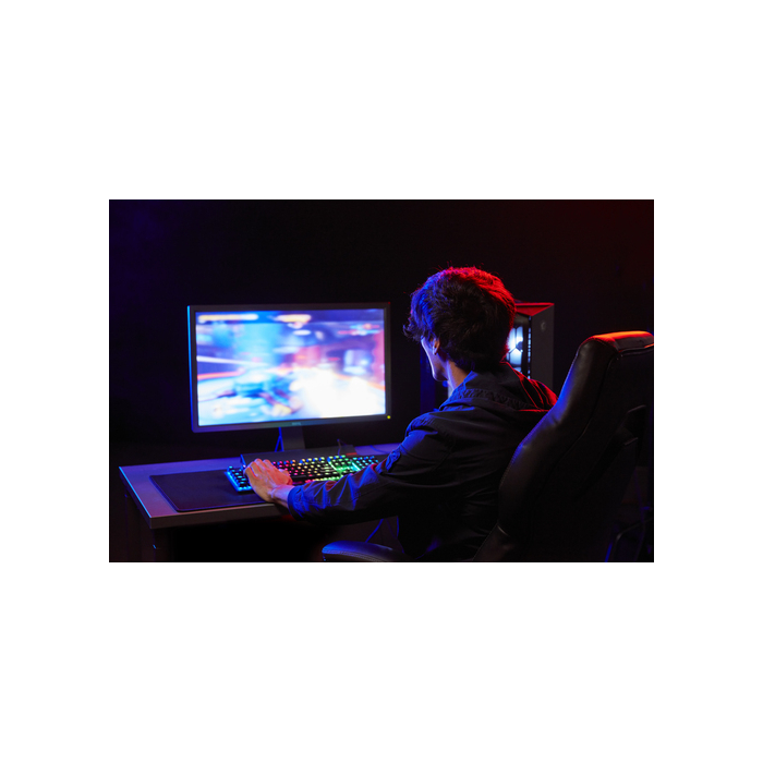 Kingston Technology FURY Beast 32 Go 5200 MT/s DDR5 CL40 DIMM Black