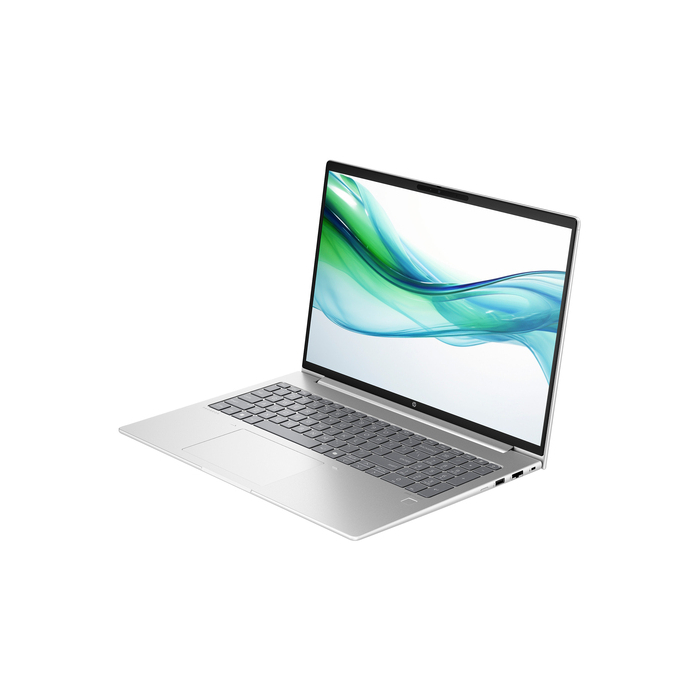 HP ProBook 460 G11 Intel Core Ultra 5 125U 16" 16 Go 512 Go Wi-Fi 6E Windows 11 Pro Argent
