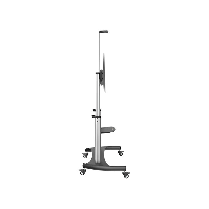 StarTech.com Support Téléviseur Mobile - Chariot Support Télé Robuste Écrans 60-100" 100kg - Support TV Écran Plat sur Pied Roulettes - Hauteur Réglable - Support Télévision Universel avec Étagères